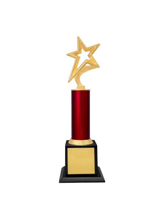 An Amazing Curve Star with wooden base Trophy GCZ 1134 3 An Amazing Curve Star with wooden base Trophy GCZ 1134