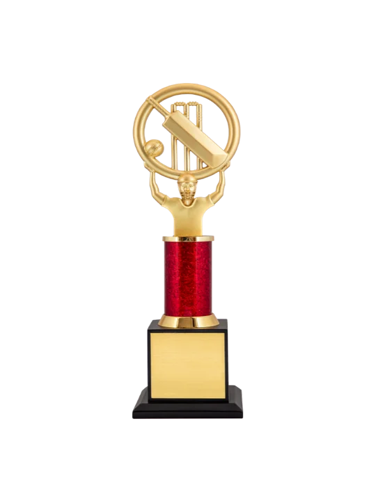 Cricketer Carrying A Bat, Ball, and Stumps in the Ring GCZ 1142 3 Cricketer Carrying A Bat, Ball, and Stumps in the Ring GCZ 1142