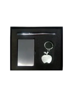 Visiting card holder a key chain and a sleek Pen Gift Set GCZ 485