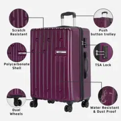 Safari Cargo Neo Magenta Purple Trolley Bag with TSA lock and Dual Wheels