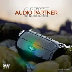 UBON 2024 Maharaja Edition SP-43 Wireless Speaker