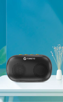 Bang Mini Bluetooth Speaker with FM Radio