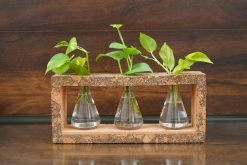 Cork 3 Beaker Planter