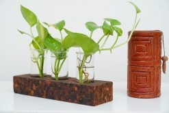 Cork 3 Hole Bark Test Tube Planter