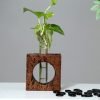 Cork Bark Tabletop Planter
