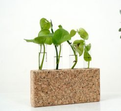 Cork Brick Test Tube Planter