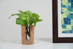 Cork Cylindrical Test Tube Planter