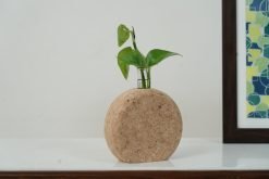 Cork Round Test Tube Planter
