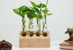 Cork Tapered Test Tube Planter