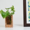 Cork Test Tube Planter 3
