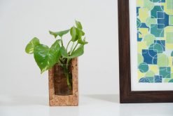 Cork Test Tube Planter 3