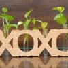 Cork XOXO Design Planter