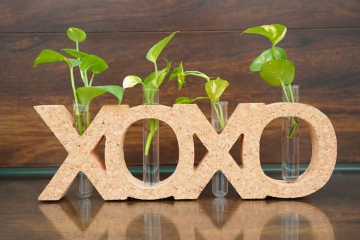 Cork XOXO Design Planter