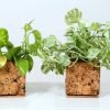 Cork Abstract Planter