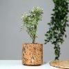 Cork Aqua Planter