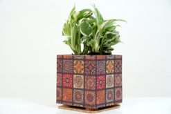 Cork Box Print Planter
