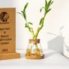 Cork Conical Flask Test Tube Planter