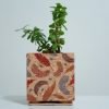 Cork Feather Print Planter