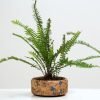 Cork Flat Planter