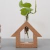Cork Hut Shape Test Tube Planter