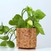 Cork Linea Planter