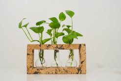 Cork Round Flask Test Tube Planter