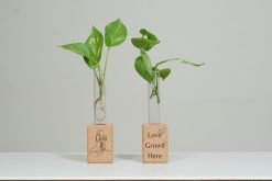 Cork Small Fridge Magnet Planter