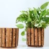 Cork Striped Planter