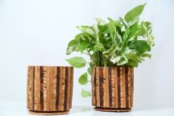 Cork Striped Planter