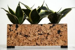 Cork Tri Planter