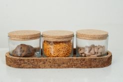 Cork set of 3 Jars with Tray
