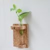 Cork wall Mounted Test Tube Planter 1
