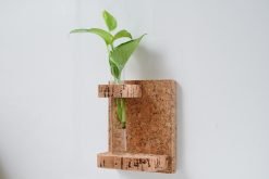 Cork wall Mounted Test Tube Planter 2