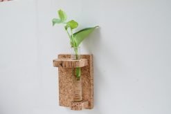 Cork wall Mounted Test Tube Planter 1