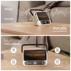 KTV Karoke TV Speaker with Dual Mics