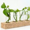 Cork 4 Hole Natural Test Tube Planter