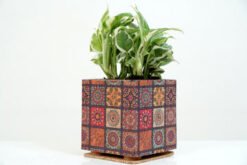 Cork Box Print Planter