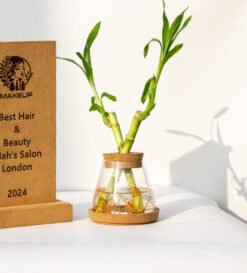 Cork Conical Flask Test Tube Planter