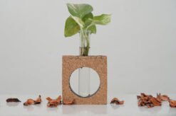 Cork Natural Bark Table Top Tube Planter