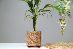 Cork Natural Grain Planter