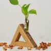 Cork Triangle Test Tube Planter