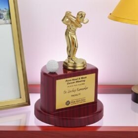 Sports Trophies Awards Supplier Mumbai India